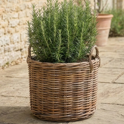 Dibor Traditional Round Grey Large Rattan Indoor Planter Basket H40 X L57 X W40Cm from B&Q