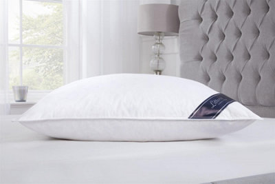 Littens Extra Fill Emperor Duck Feather & DownSide Sleeper Pillow 50Cm X 100Cm (20" X 40") from B&Q