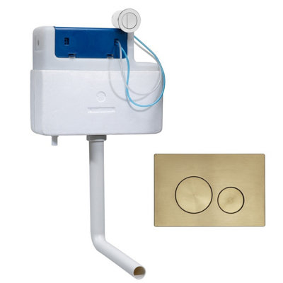 Roper Rhodes Cascade Cistern And Rondo Brushed Brass Dual Flush Plate from B&Q