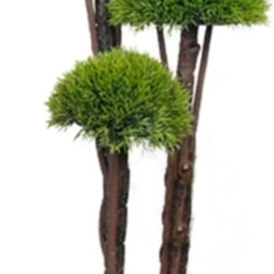 Deenz Artificial Plant Cedar Ball Topiary Tree With Pot Faux Round Shrub Bush Decoration Greenery 90Cm (3 Grass Flower 010) from B&Q