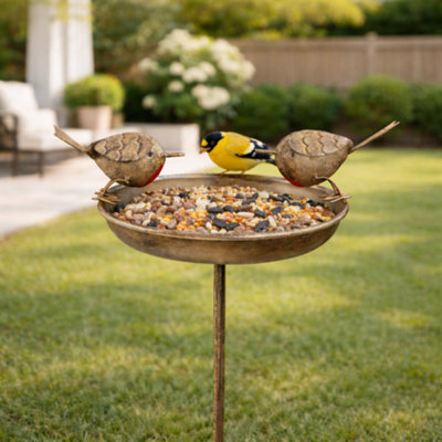 Garden Bird Bath And Feeder Table With Stake from B&Q