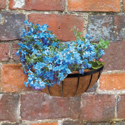 Marco Paul Garden Hanging Flower Basket 16'' from B&Q