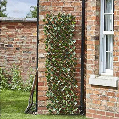 Marco Paul 180 X 60Cm Topiary Maple Leaves Artificial Leaf Trellis from B&Q