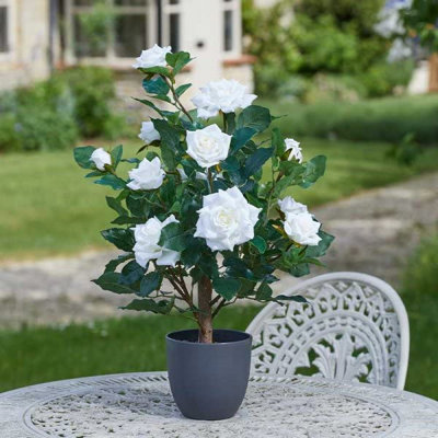 Marco Paul 60Cm Artificial Rose Plant White In Plant Pot from B&Q