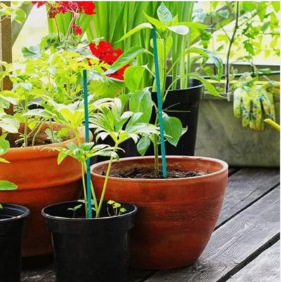 Marco Paul Pack Of 25 Bamboo Plant Supports 60Cm from B&Q
