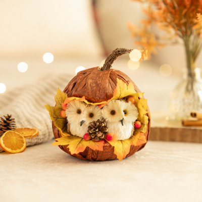 Marco Paul 17Cm Owl In A Pumpkin Autumn Décor from B&Q