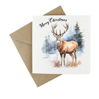 EasyEco Easy Eco Wildflower Reindeer Christmas CardsEco-Friendly And PlantablePack Of 10 from B&Q