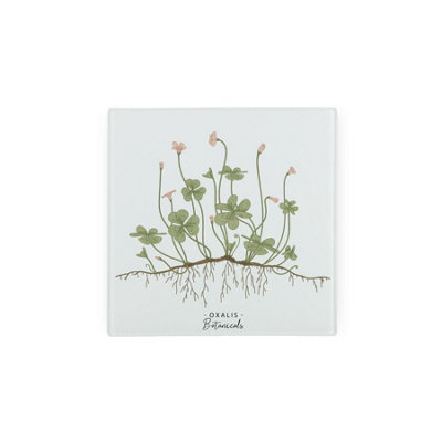 Purely Home Floral Botanicals Oxalis Glass Hot Pot StandHeat Resistant Non-Slip Trivet from B&Q