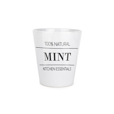 Minimalist Mint Plant Pot - Small Ceramic Indoor Plant Pot Gift - Image 3