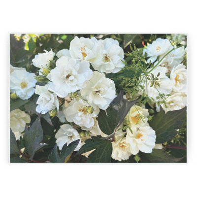 B&Q -  White Roses Worktop ProtectorLarge Textured Glass Chopping Board