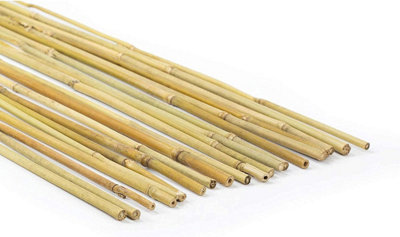 Bamboo Canes Plant Support Heavy Duty Bamboo Garden Stakes For VegetablesTomatoes Bamboo Sticks Poles (105Ft12-14mm) from B&Q