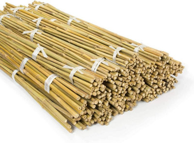  - Bamboo Canes Plant Support Heavy Duty Bamboo Garden Stakes For VegetablesTomatoes Bamboo Sticks Poles (304Ft10-12mm)