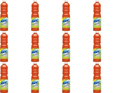 Asevi Orange General Purpose Cleaner (Orange) (Pack Of 12) 1L