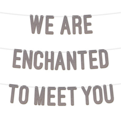 Glitter Baby Shower Banner,we Are Enchanted To Meet You Design,gender Reveal Party Garlandfor Baby Shower Party 7 Inch(Silver) from B&Q