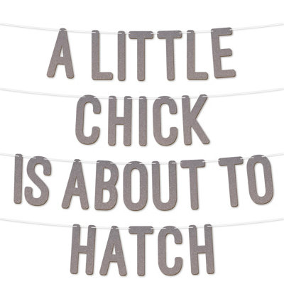 A Little Chick Is About To Hatch Glitter Baby Shower Banner,gender Reveal Party Garland Decorfor Baby Shower Party 7 Inch(Silver)