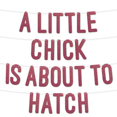 A Little Chick Is About To Hatch Glitter Baby Shower Banner,gender Reveal Party Garland Decorfor Baby Shower Party 7 Inch(Cerise)