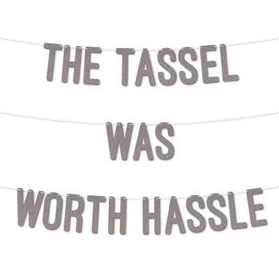 Tassel Worth The Hassle Graduation Banner,900Gsm Glitter Banner For University Or College Grad Parties,graduation Party(Silver) from B&Q