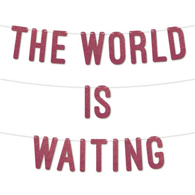 The World Is Waiting Graduation Banner,900Gsm Glitter Banner For University Or College Grad Parties,graduation Party Decor(Cerise) from B&Q