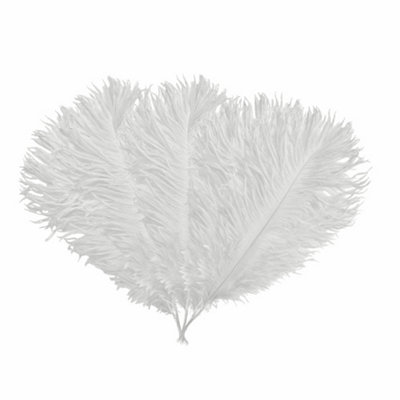 Neel Blue 5Pcs White Ostrich Feather PlumeNatural Feather Fringe35Cm-40Cm from B&Q