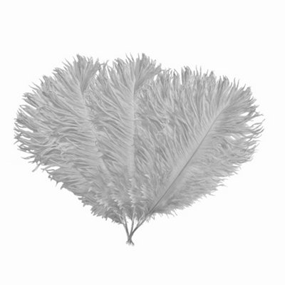 Neel Blue 5Pcs Silver Ostrich Feather PlumeNatural Feather Fringe35Cm-40Cm from B&Q