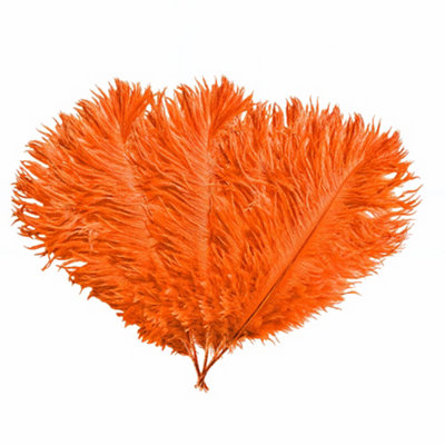 Neel Blue 5Pcs Orange Ostrich Feather PlumeNatural Feather Fringe35Cm-40Cm from B&Q