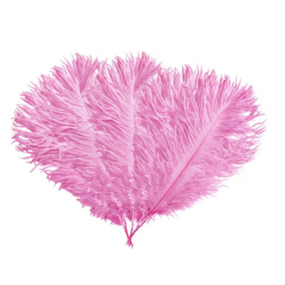Neel Blue 5Pcs Baby Pink Ostrich Feather PlumeNatural Feather Fringe35Cm-40Cm from B&Q