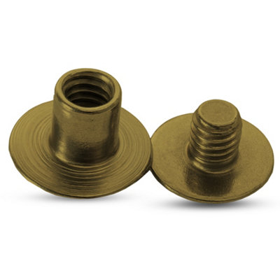 Neel Blue Pack Of 10 Flat Head Screwback StudsL(9mm) W(13mm) Chicago RivetBronze from B&Q