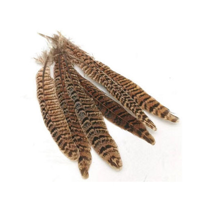 Neel Blue 25-30 Cm Natural Pheasant Feathers10Pcs from B&Q