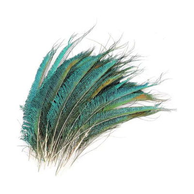Neel Blue 25-30 Cm Natural Peacock FeathersGreen Plume10Pcs from B&Q