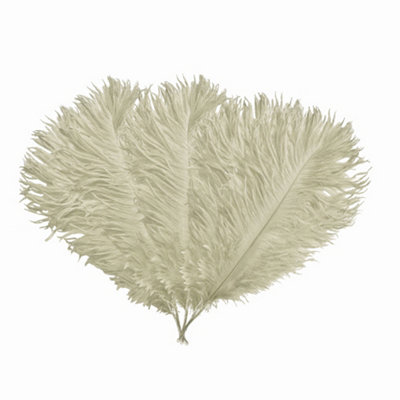 Neel Blue 5Pcs Ivory Ostrich Feather PlumeNatural Feather Fringe35Cm-40Cm from B&Q