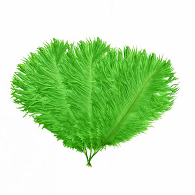 Neel Blue 5Pcs Green Ostrich Feather PlumeNatural Feather Fringe35Cm-40Cm from B&Q