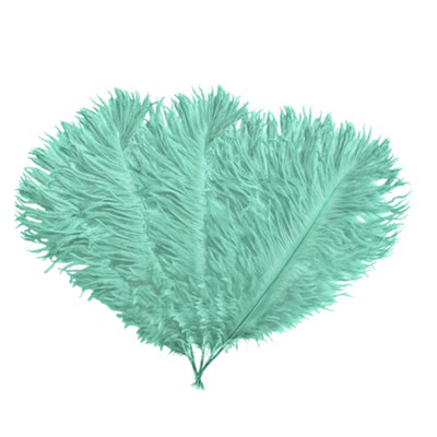 Neel Blue 5Pcs Mint Ostrich Feather PlumeNatural Feather Fringe35Cm-40Cm from B&Q