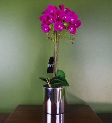 Leaf Artificial Orchid Large Dark Pink Silver 52Cm Botanik from B&Q