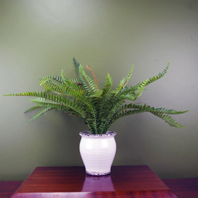 Leaf Artificial Fern Bush In Decorative Planter Botanik from B&Q