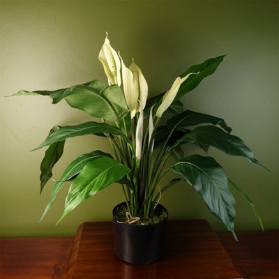 Leaf Artificial Plant Large Lily Peace White Spathiphyllum Botanik from B&Q
