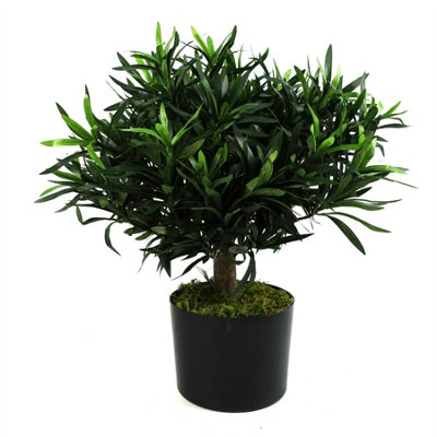 Leaf Black Realistic Artificial Bush Plant Podocarpus - Realistic Plant By Botanik 40Cm