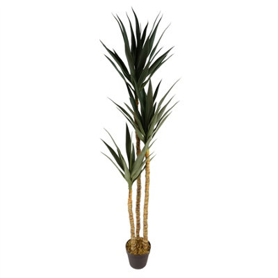 Leaf Artificial Tree Yukka Tropical House Plant 170Cm Tall Xxl Yukka Botanik from B&Q