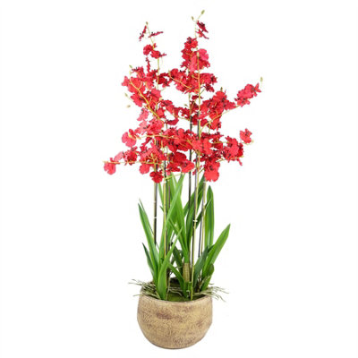 Leaf Artificial Orchid In Stoneware Planter Botanik Red