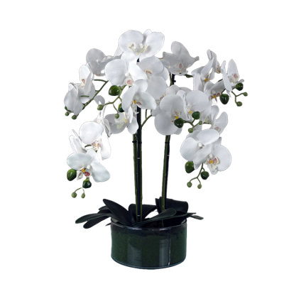 Leaf Artificial Orchid With Glass Planter Botanik White