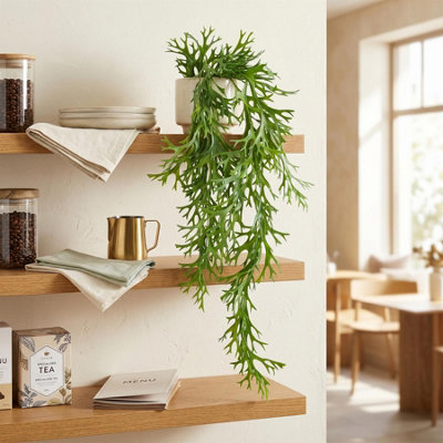 Leaf 80Cm Hanging Artificial Staghorn Fern from B&Q