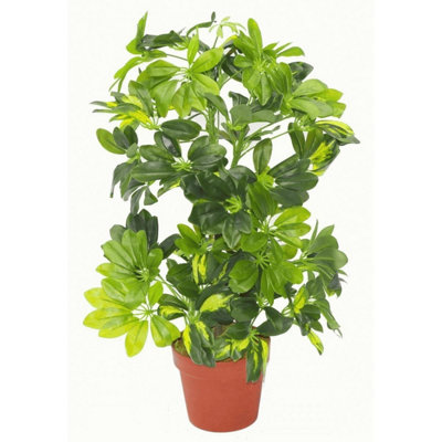 Leaf Artificial Plant Umbrella Tree Gold Capella Deluxe 75Cm Schefflera Arboricola Botanik from B&Q