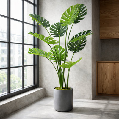Leaf 120Cm (4Ft) Luxury Monstera Plant Black Pot