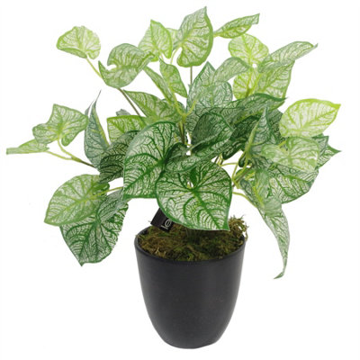 Leaf Artificial Foliage Plant Realistic Pot 40Cm Caladium Realistic Faux House Plants Botanik