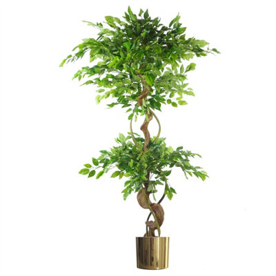 Leaf Japanese Fruticosa Ficus Tree Gold Planter 150Cm Twisted Trunk Artificial Botanik from B&Q