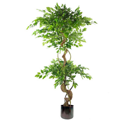 Leaf Japanese Fruticosa Ficus Tree Rainbow Planter 150Cm Twisted Trunk Artificial Botanik from B&Q