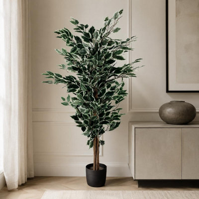 B&Q -  Artificial Ficus Tree Plant White Edge Bushy 130Cm Realistic House Plants Botanik - Image 7