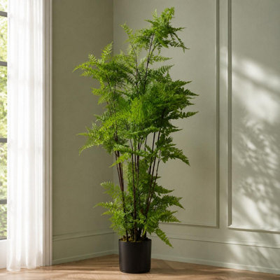 Botanik - Artificial Fern Tree - 5ft - Green - Image 4