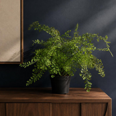 B&Q -  Artificial 35Cm Potted Fern Plant (Southern Maidenhair Fern)