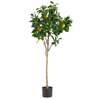 Leaf Premium Artificial Lemon Tree 150Cm
