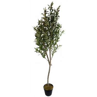 B&Q -  180Cm Artificial Natural Look Olive Tree With Wooden Trunk